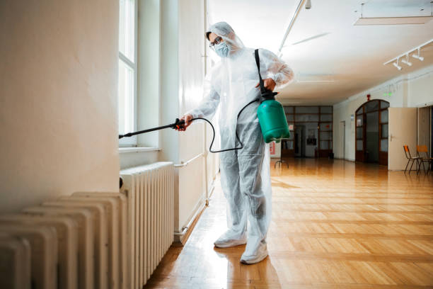 Best Fumigation Services  in Birdsboro, PA